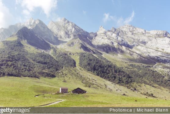 Jardin de montagne : quelles plantes choisir ?